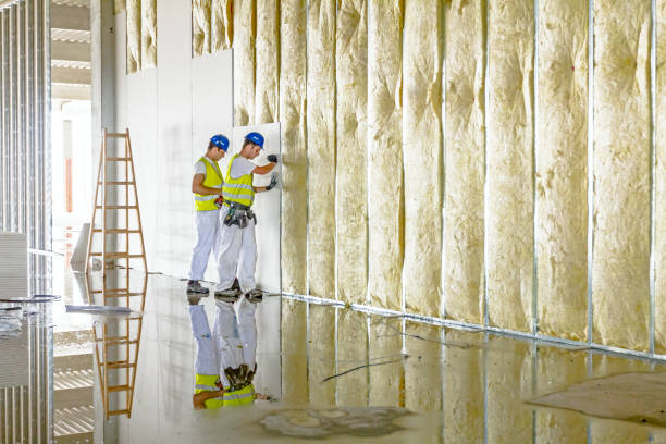 Best Spray Foam Insulation in Parowan, UT